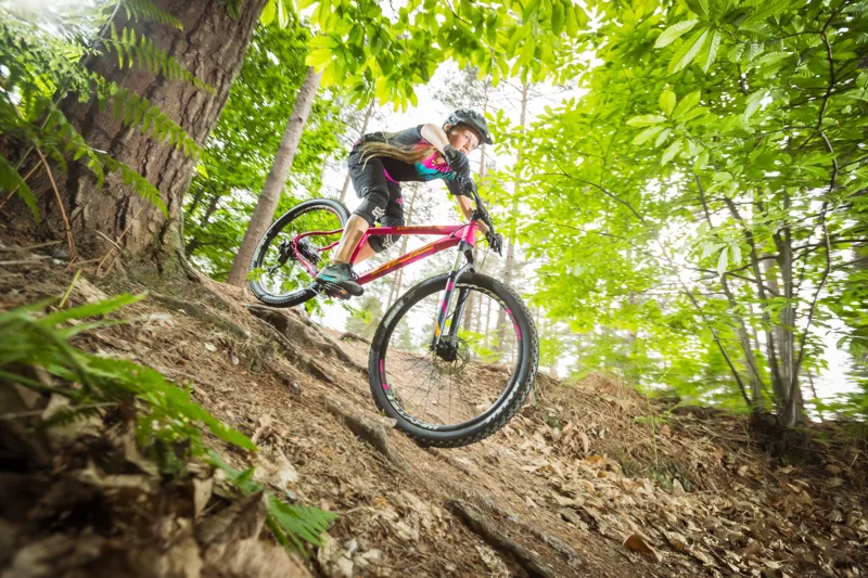 Whyte 802 shop compact 2018